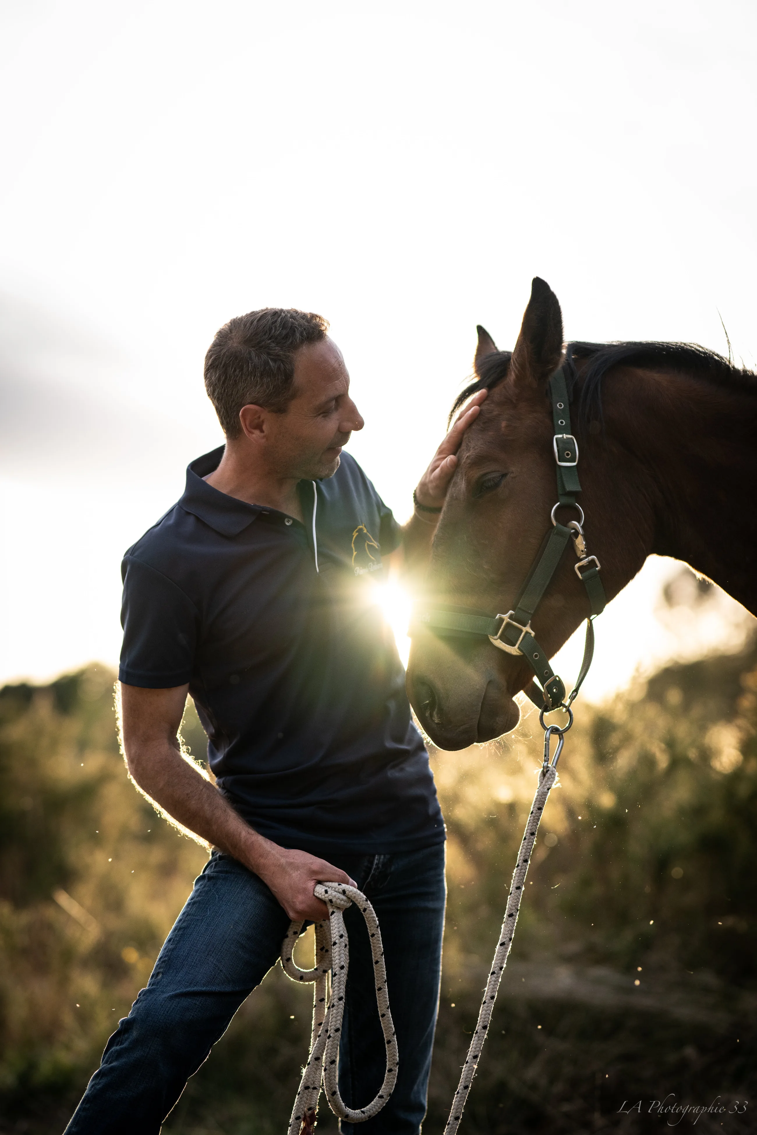 Séance animalière, homme caressant un cheval en contre-jour