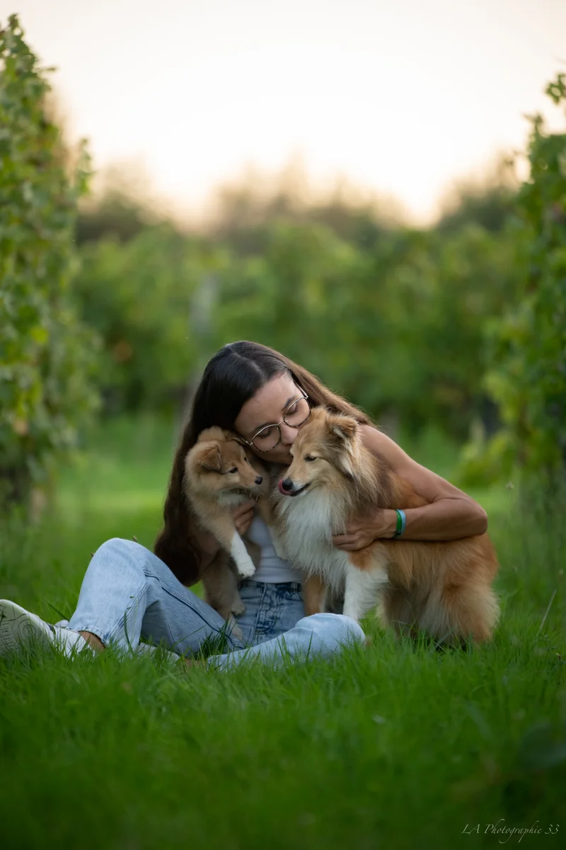 Jeune femme assise dans l'herbe câlinant son chien au coucher de soleil