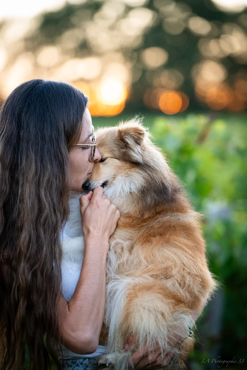 Jeune femme embrassant tendrement son chien colley, lumière dorée