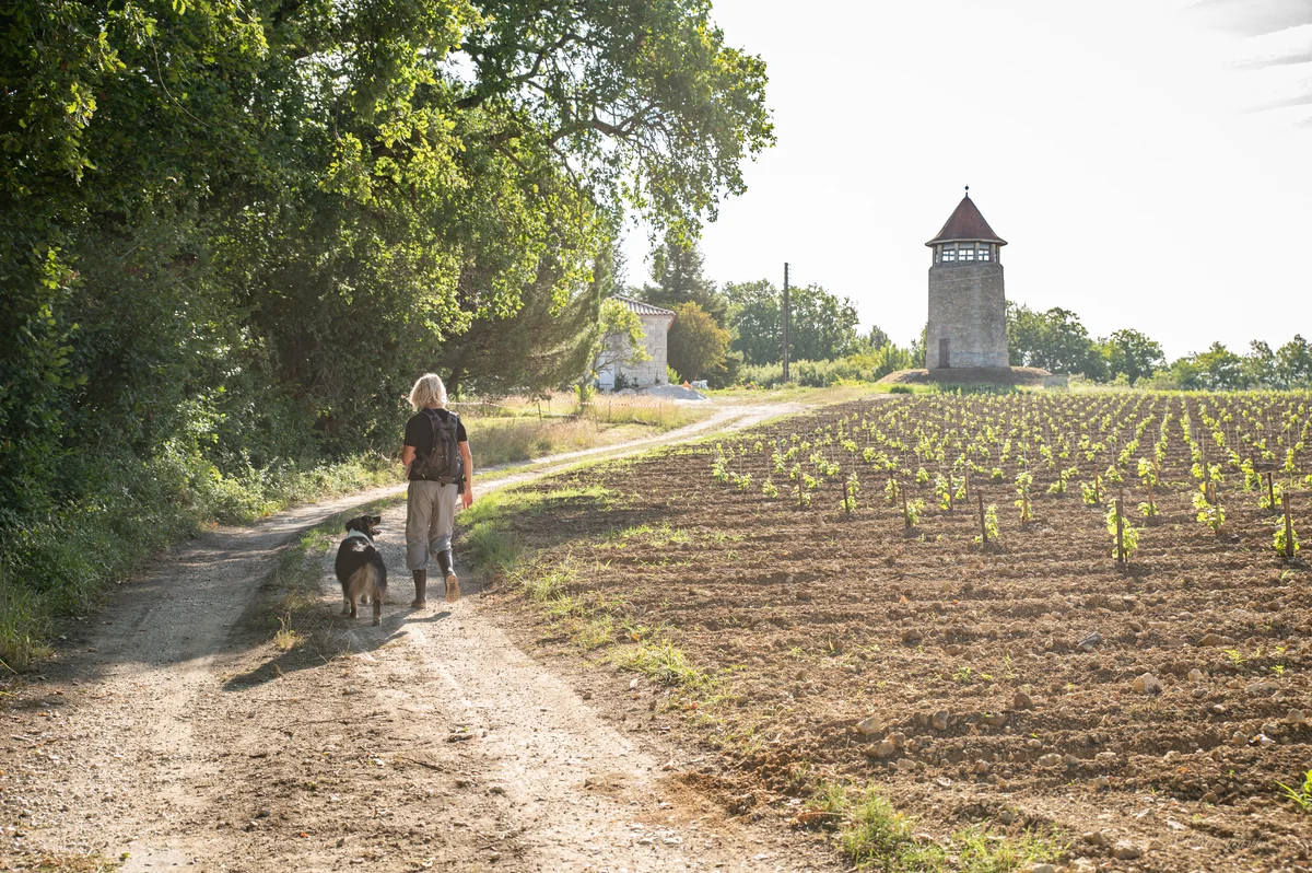 Femme marchant avec son chien sur un chemin de campagne, tour en pierre au loin