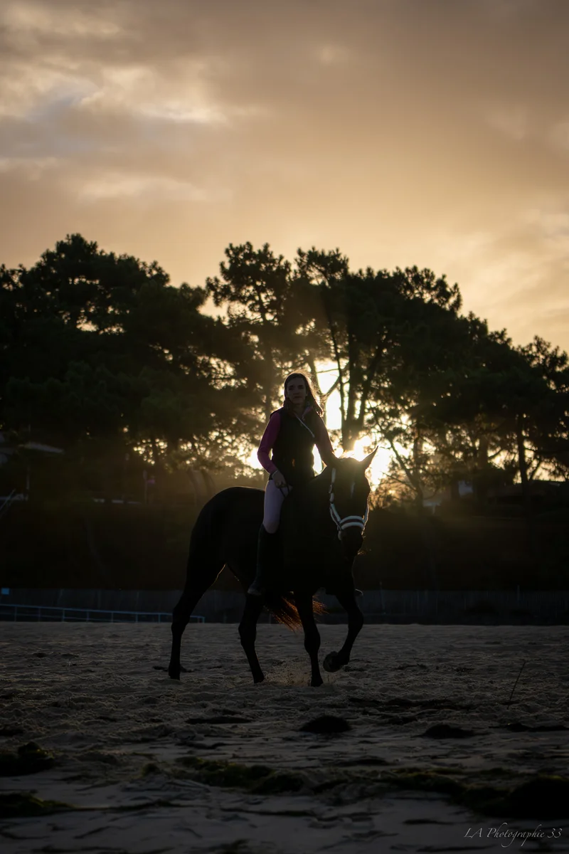 Cavalière à cheval en silhouette contre un coucher de soleil à travers les arbres